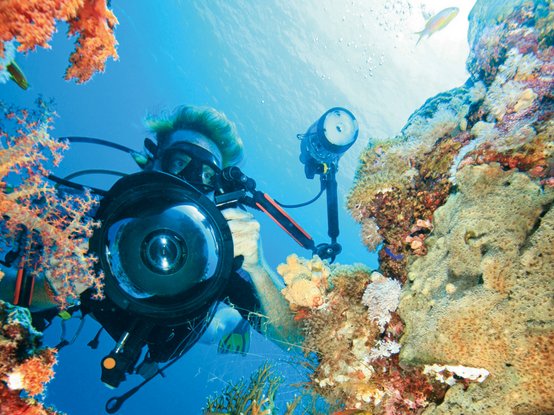 Diving Packages - Sprachcaffe Travel Adventures