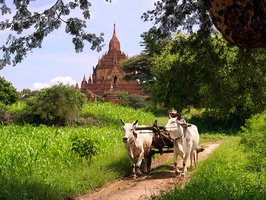 Village in Myanmar - SC Travel Adventures