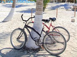 Biking at the Beach