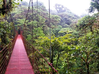 Costa Rica - Nebelwaldreservat Monteverde - Sprachcaffe Reisen